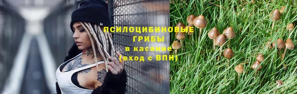 MDMA Premium VHQ Бородино