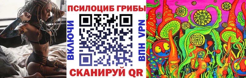 Псилоцибиновые грибы GOLDEN TEACHER  Купить где  Новомичуринск 