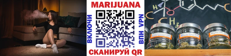 Купить  Новомичуринск  МАРИХУАНА планчик 